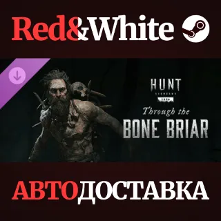 Купить Hunt: Showdown - Through the Bone Briar DLC