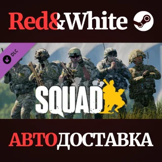 Купить Squad - DLC Pack 2 * STEAM РОССИЯ 🔥 АВТОДОСТАВКА
