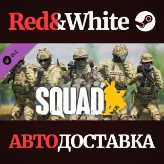 Купить Squad - DLC Pack 3 * STEAM РОССИЯ 🔥 АВТОДОСТАВКА