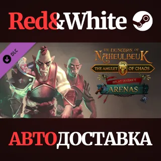 Купить The Dungeon Of Naheulbeuk - Splat Jaypak's Arenas DLC