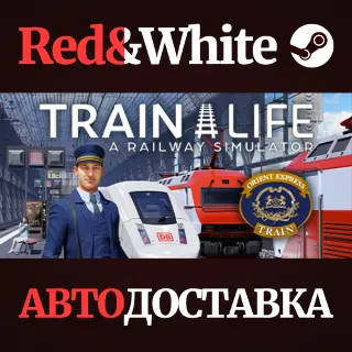 Купить Train Life - A Railway Simulator * STEAM 🔥 АВТОДОСТАВКА