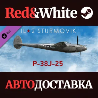 Купить IL-2 Sturmovik: P-38J-25 Collector Plane DLC
