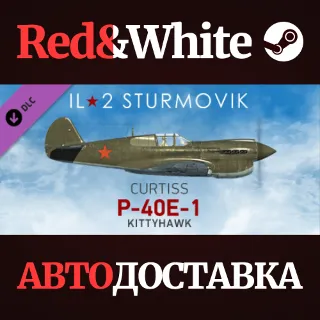 Купить IL-2 Sturmovik: P-40E-1 Collector Plane DLC