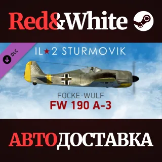 Купить IL-2 Sturmovik: Fw 190 A-3 Collector Plane DLC
