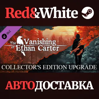 Купить The Vanishing of Ethan Carter - Collector's Edition Upg