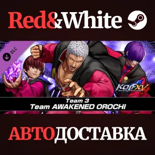 Купить KOF XV DLC Characters "Team AWAKENED OROCHI"