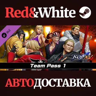 Купить THE KING OF FIGHTERS XV - DLC TeamPass "Team Pass1"