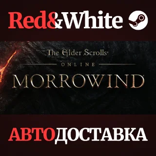 Купить The Elder Scrolls Online Standard Edition * STEAM RU 🔥