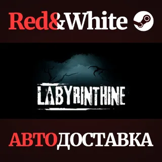 Купить Labyrinthine * STEAM РОССИЯ 🔥 АВТОДОСТАВКА