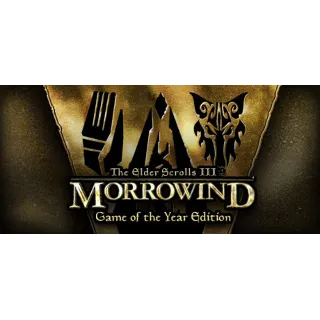 Купить The Elder Scrolls III: Morrowind Game of the Year Editi