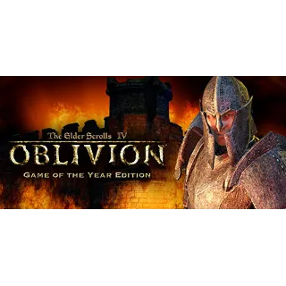 Купить The Elder Scrolls IV: Oblivion Game of the Year Edition