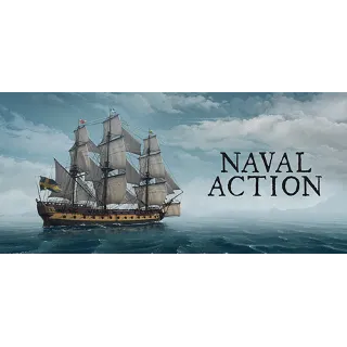 Купить Naval Action 🚣 Смена данных 👑 Полный доступ