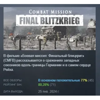 Купить Combat Mission: Final Blitzkrieg АВТОДОСТАВКА STEAM РОССИЯ