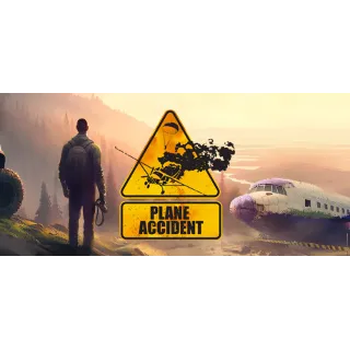Купить Plane Accident 💎 АВТОДОСТАВКА STEAM GIFT РОССИЯ