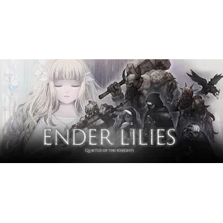 Купить ENDER LILIES: Quietus of the Knights ⚔ Смена данных