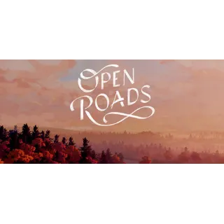 Купить Open Roads steam РФ/МИР