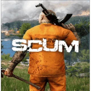 Купить 💚 SCUM 🎁 STEAM/СТИМ GIFT 💚 ТУРЦИЯ | ПК