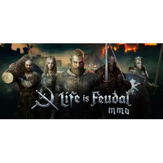 Купить 🔑 Life is Feudal: MMO Steam Key 30 Days GLOBAL
