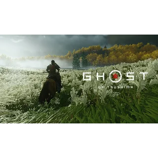 Купить Ghost of Tsushima Director´s Cut + гарантия + все DLC