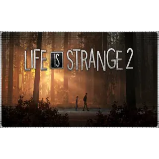 Купить 🍓 Life is Strange 2 (PS4/PS5/RU) П3 - Активация