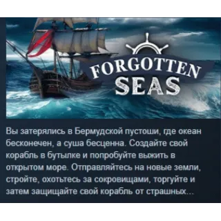 Купить Forgotten Seas 💎 АВТОДОСТАВКА STEAM GIFT РОССИЯ
