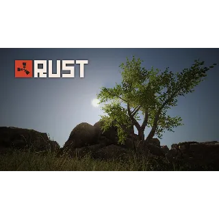 Купить ⭐ ️STEAM ⭐ ️ RUST ⭐ ️ ОФФЛАЙН ⭐ ️ (Region Free) ⭐ ️