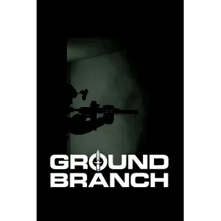 Купить GROUND BRANCH (Аренда Steam 7 дней) Онлайн, GFN