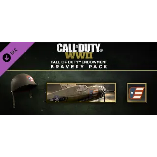 Купить Call of Duty®: WWII - Call of Duty Endowment Brave USA
