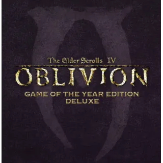 Купить 🧸 The Elder Scrolls IV: Oblivion - GOTY ✅ GOG 🧸 (PC)