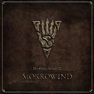 Купить 🧸 The Elder Scrolls III: Morrowind GOTY ✅ GOG 🧸 (PC)