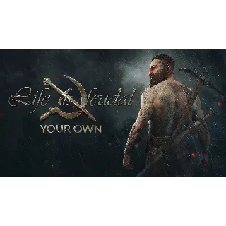 Купить Life is Feudal: Your Own +60 Игр | Steam | GLOBALLife