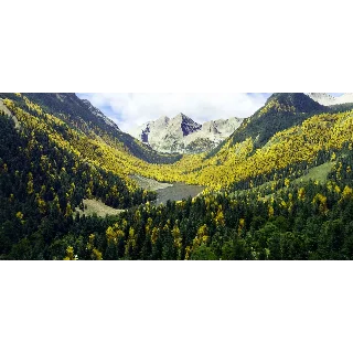 Купить REX ACCU SEASON MSFS2020 Аккаунт