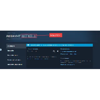 Купить 🚀 АВТОПОПОЛНЕНИЕ STEAM RU ✦ KZT ✦ UA ✦ СНГ ✦ НИЗКАЯ КОМИСИЯ 🔝 🔝