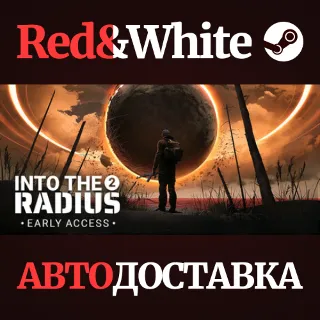 Купить Into the Radius 2 * STEAM RU*KZ*UA*СНГ 🔥 АВТОДОСТАВКА