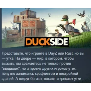 Купить DUCKSIDE АВТОДОСТАВКА STEAM РОССИЯ