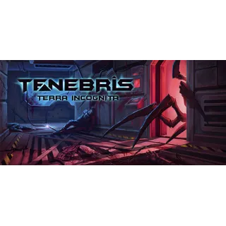 Купить Tenebris: Terra Incognita - STEAM GIFT РОССИЯ