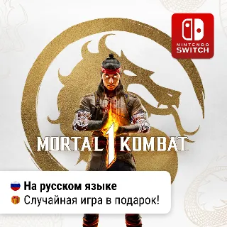 Купить Mortal Kombat 1 Premium Edition | Nintendo Switch