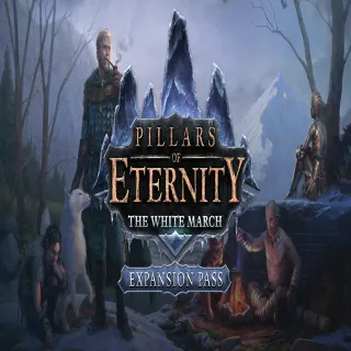 Купить 🧸 Pillars of Eternity: The White March - Expansion Pas