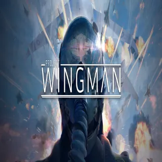 Купить 🧸 Project Wingman ✅ GOG 🧸 (PC)
