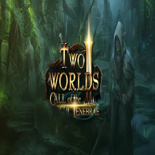 Купить 🧸 Two Worlds II: Call of the Tenebrae ✅ GOG 🧸 (PC)