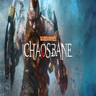 Купить 🧸 Warhammer: Chaosbane ✅ GOG 🧸 (PC)