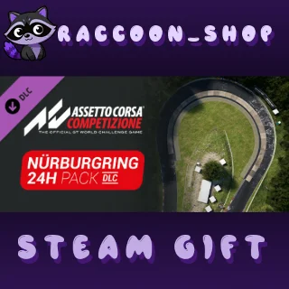 Купить Assetto Corsa Competizione - 24H Nürburgring Pack DLC