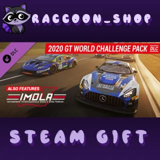 Купить Assetto Corsa Competizione - 2020 GT World Challenge Pa
