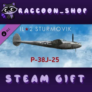 Купить IL-2 Sturmovik: P-38J-25 Collector Plane DLC * STEAM 🔥