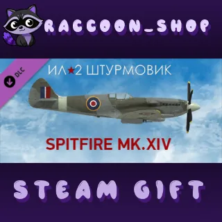 Купить IL-2 Sturmovik: Spitfire Mk.XIV Collector Plane DLC