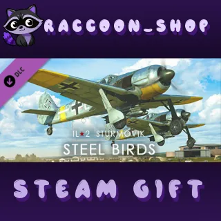 Купить IL-2 Sturmovik: Steel Birds Campaign DLC * STEAM RU 🔥