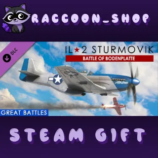 Купить IL-2 Sturmovik: Battle of Bodenplatte DLC * STEAM RU 🔥