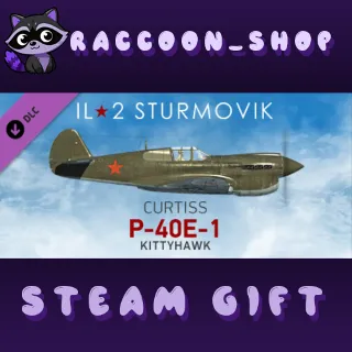 Купить IL-2 Sturmovik: P-40E-1 Collector Plane DLC * STEAM 🔥