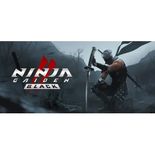 Купить 🎁 NINJA GAIDEN 2 Black steam 🌍 МИР