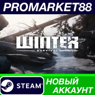 Купить ✅ Winter Survival Steam АККАУНТ НОВЫЙ+ПОЧТА